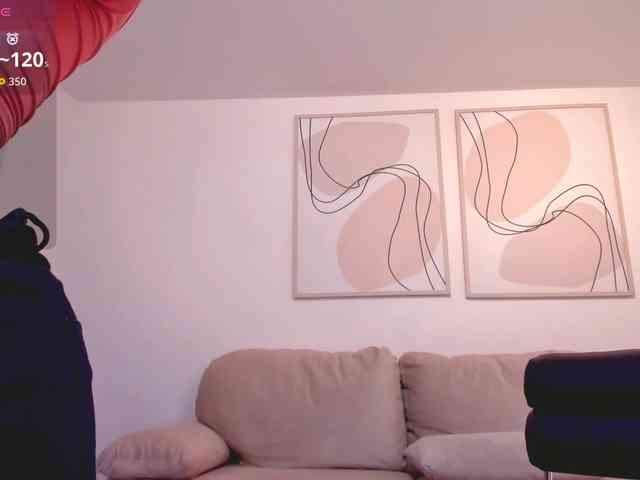 ToriCross webcam