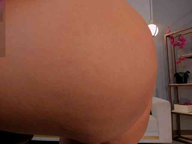 ToriCross webcam