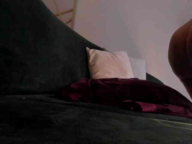 ToriCross webcam