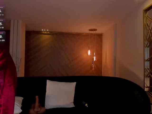 ToriCross webcam