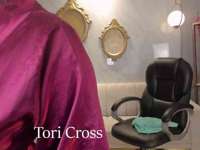 ToriCross webcam