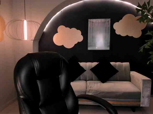 ToriCross webcam