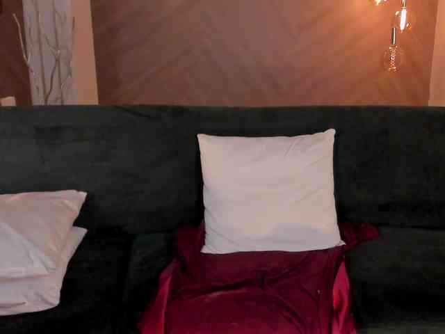 ToriCross webcam