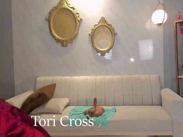 ToriCross webcam
