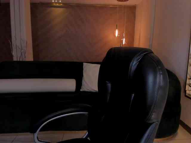 ToriCross webcam