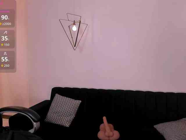 ToriCross webcam
