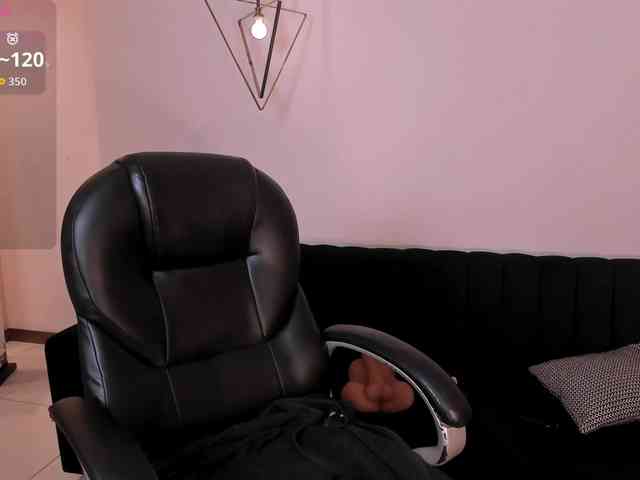 ToriCross webcam
