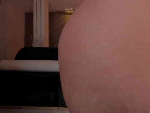 ToriCross webcam