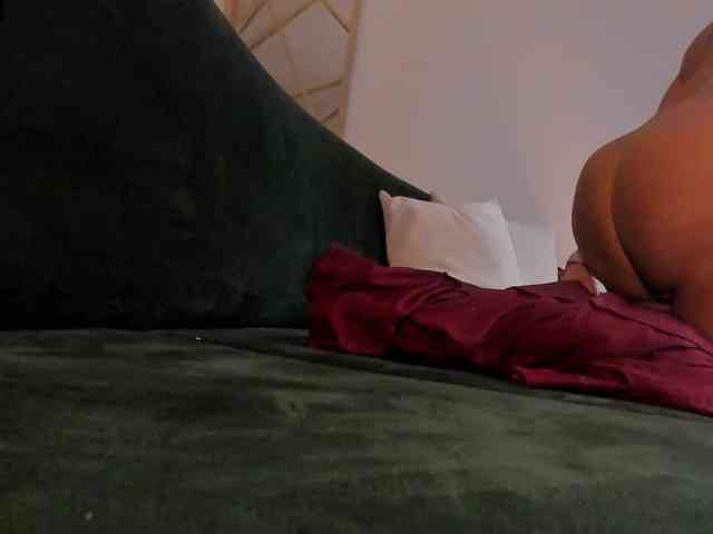web cam ToriCross