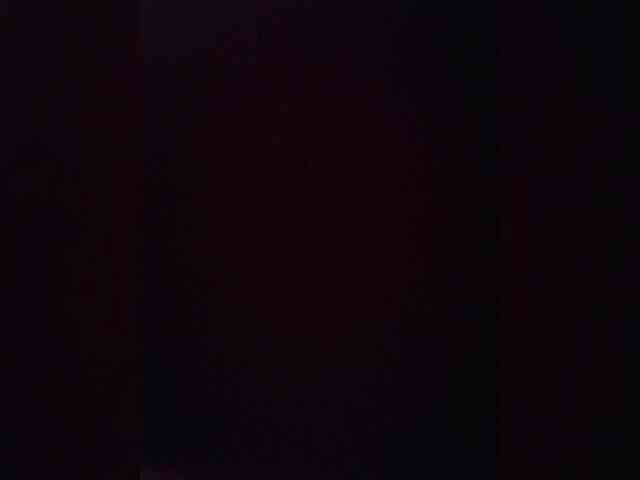 Kroshka-meow webcam
