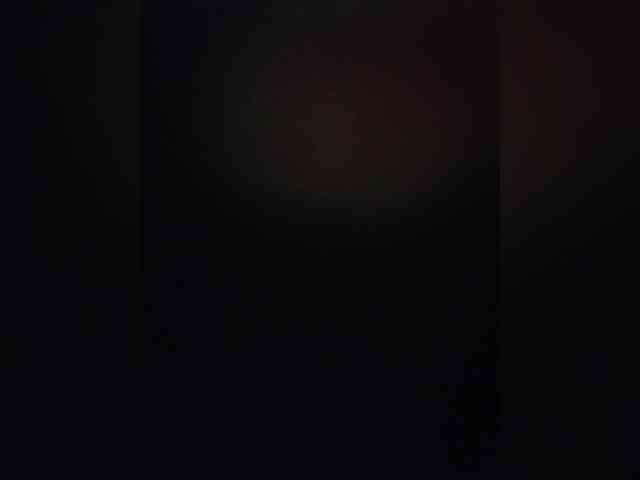 Kroshka-meow webcam