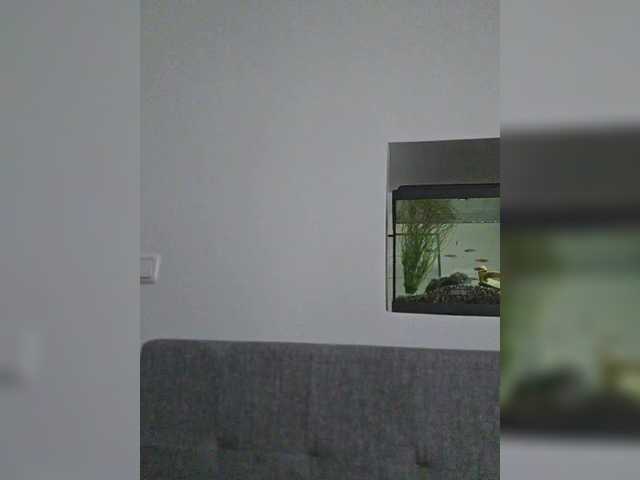 SophieMary's BongaCams show and profile