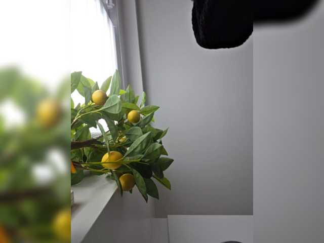 SophieMary's BongaCams profile