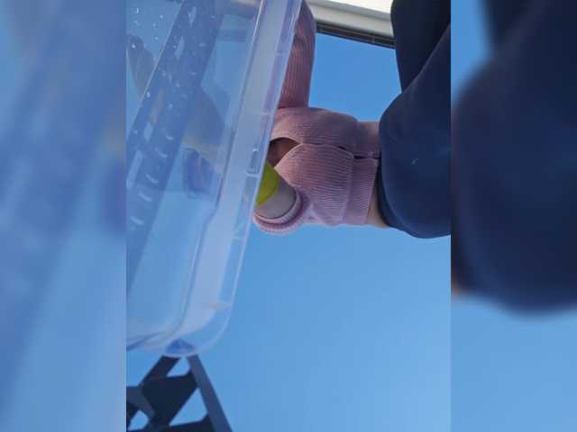 SophieMary's BongaCams show and profile