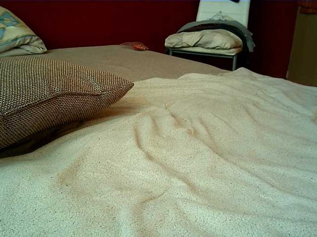 Makenzie007's BongaCams show and profile