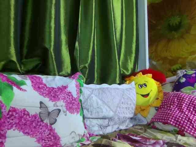 Aktriska webcam