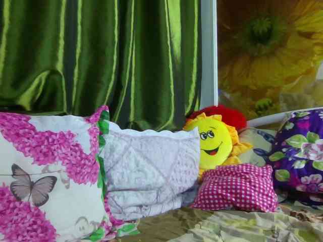 Aktriska webcam