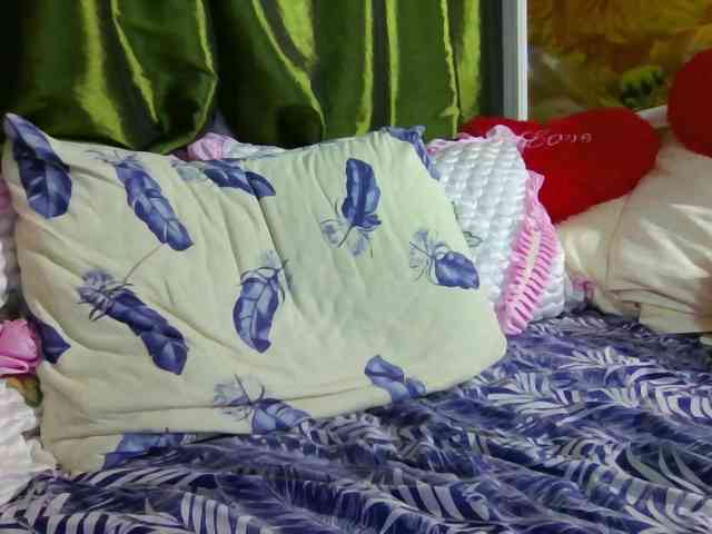 Aktriska webcam