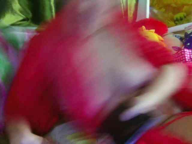 Aktriska webcam