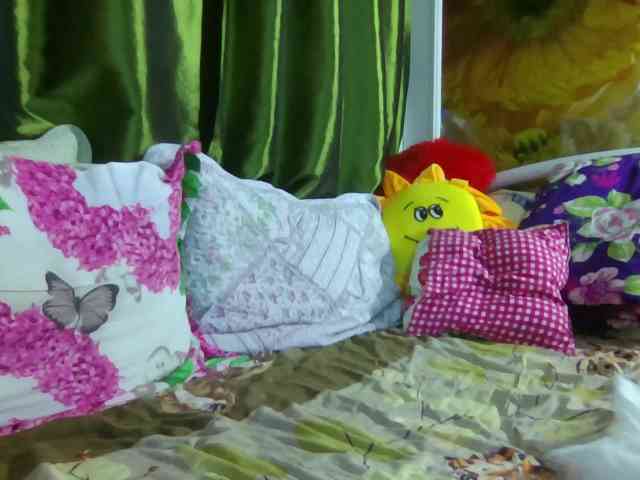 Aktriska webcam