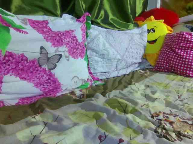 Aktriska webcam