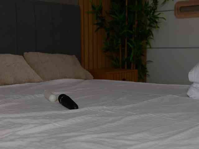 Celestara webcam