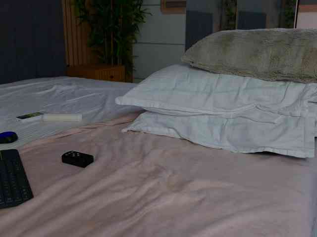 Celestara webcam