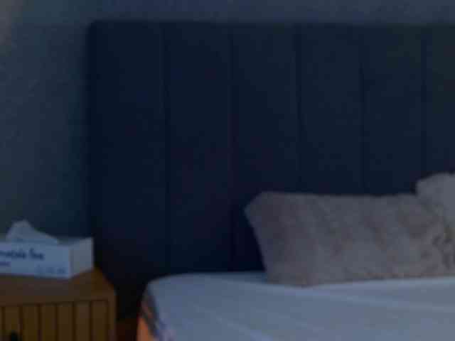 Celestara webcam