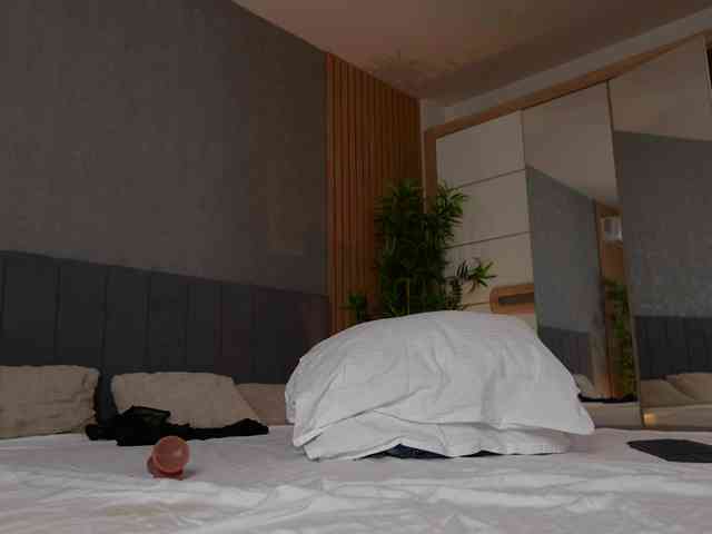 Celestara webcam