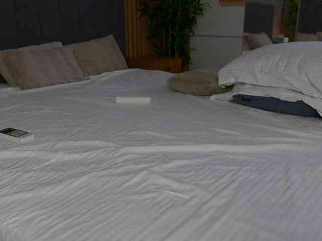 Celestara webcam