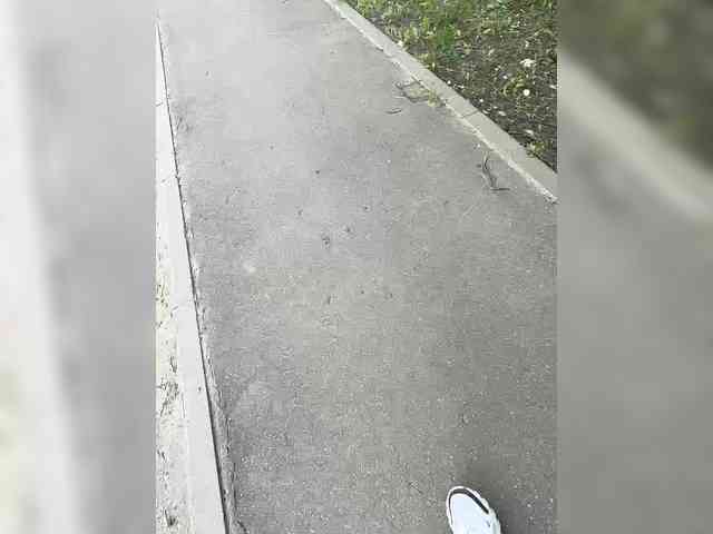 Модель: shawty420