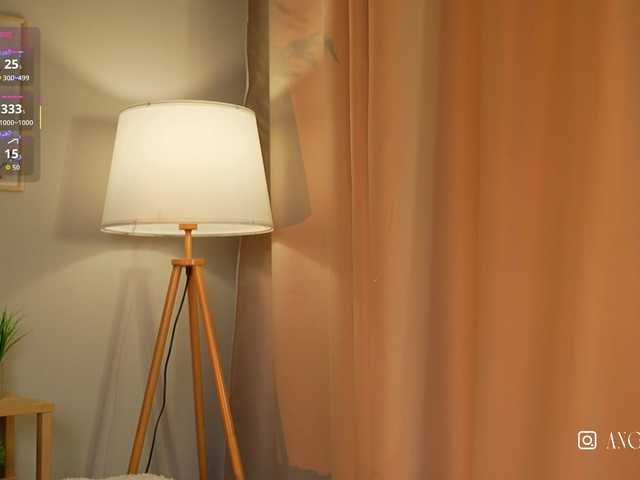 Holly-bunny webcam stream