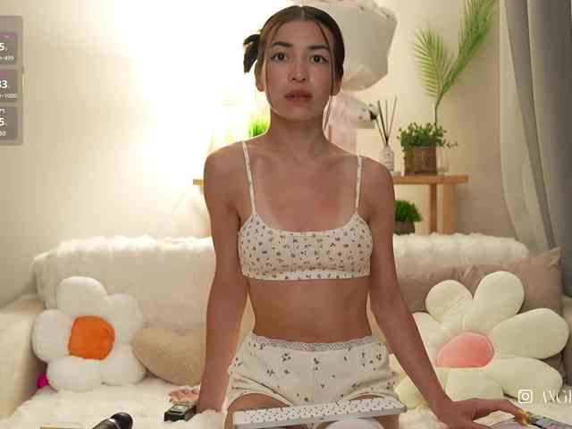 anaikey webcam