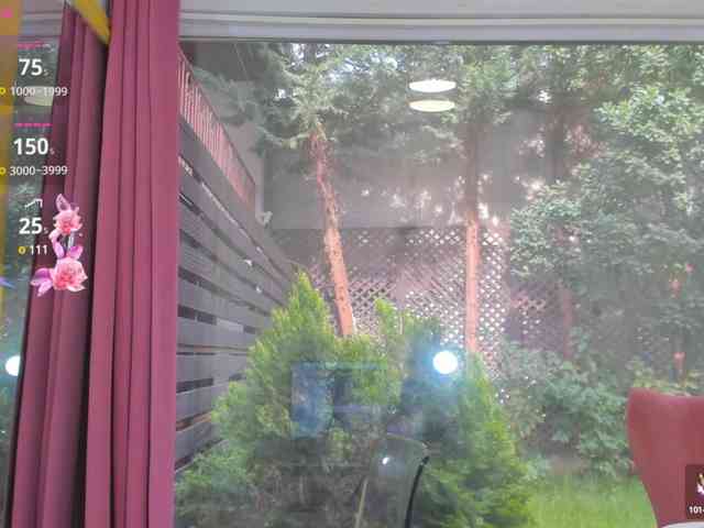 sarabecker webcam