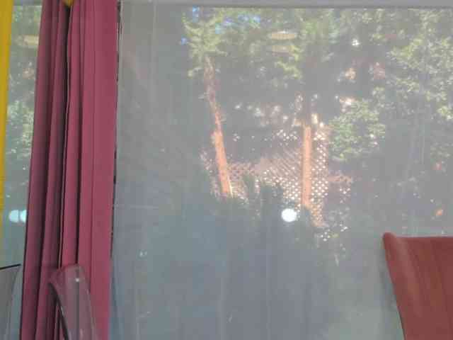 sarabecker webcam