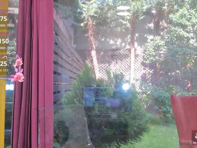 sarabecker webcam