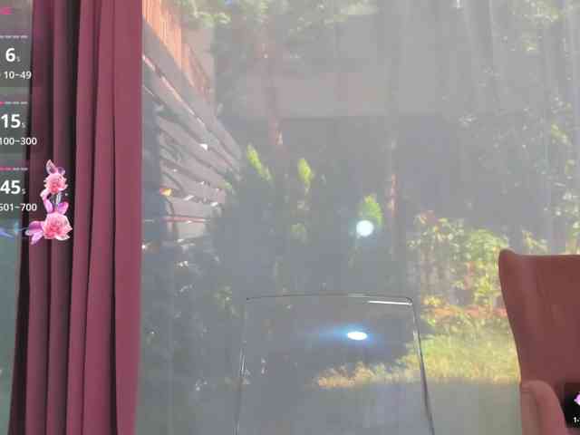 sarabecker webcam