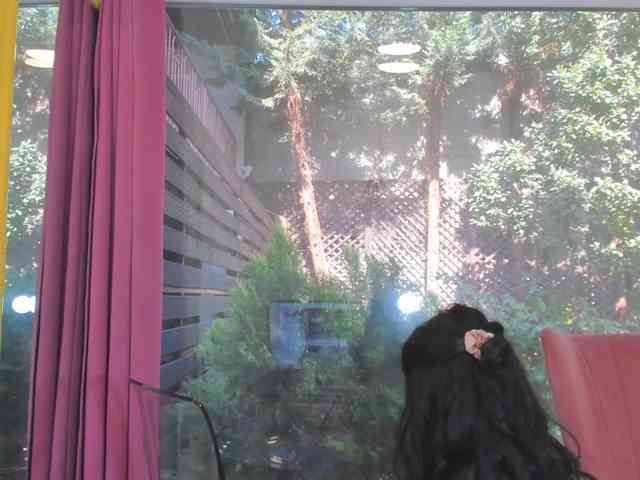 sarabecker webcam