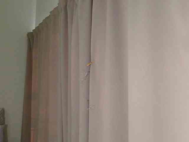 RedMiss webcam