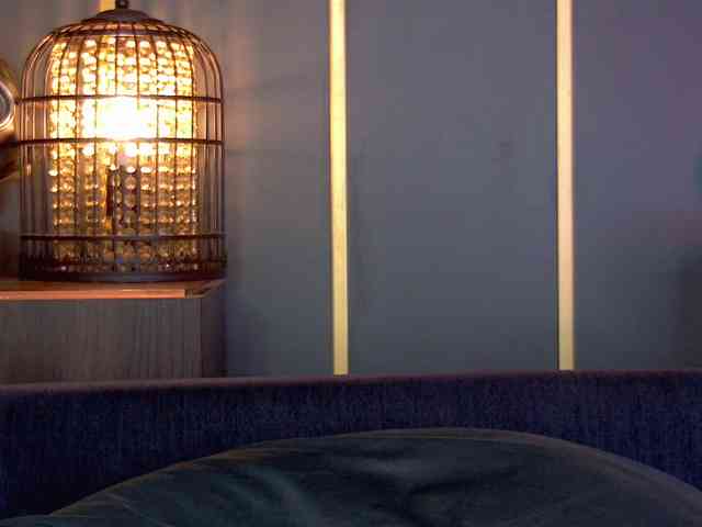 EleniaDevons EleniaDevons