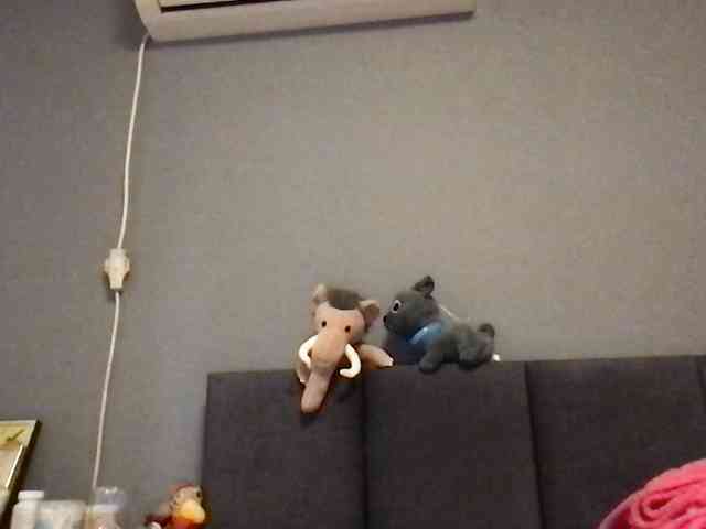 FunyandCrazyU webcam