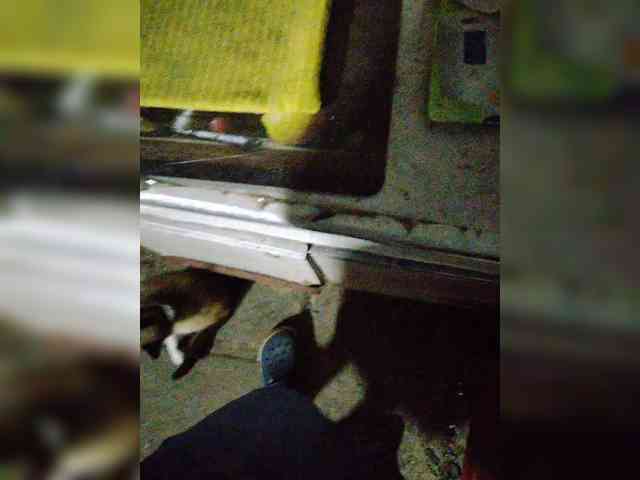 Vitooosik Live Webcam on BongaCams