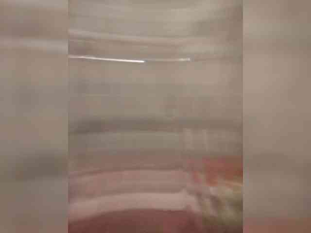 deft222111 Live Webcam on BongaCams