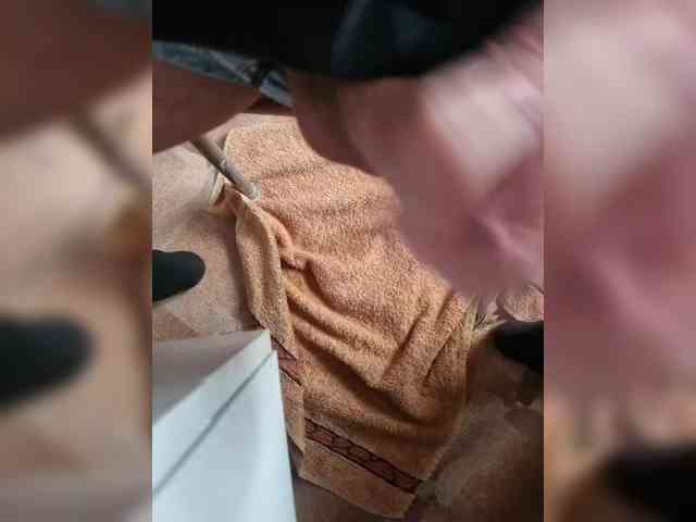 Alexxxxvan Live Webcam on BongaCams