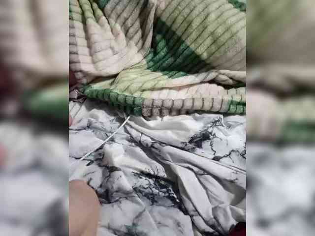 -NePara- webcam