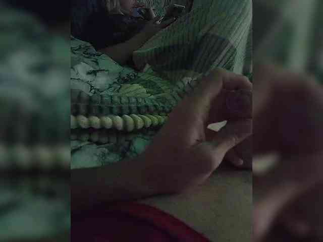 -NePara- webcam