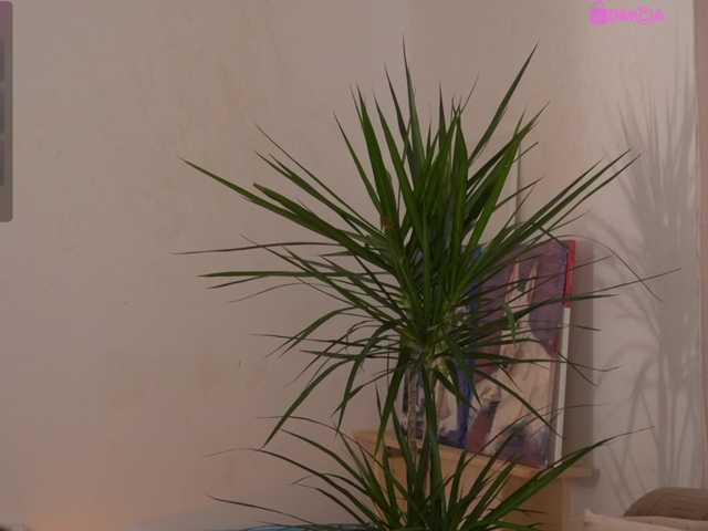 1Nasty's BongaCams show and profile