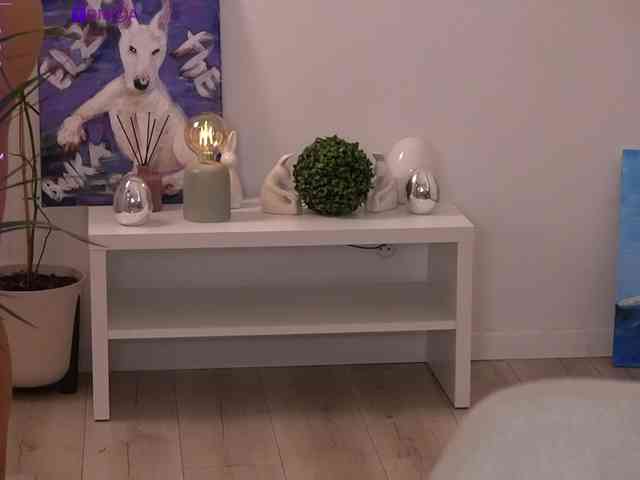 TOKKYYO webcam