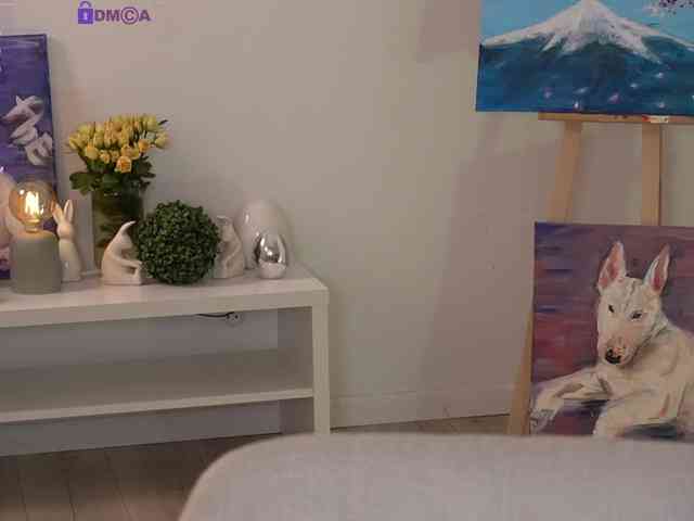 TOKKYYO webcam