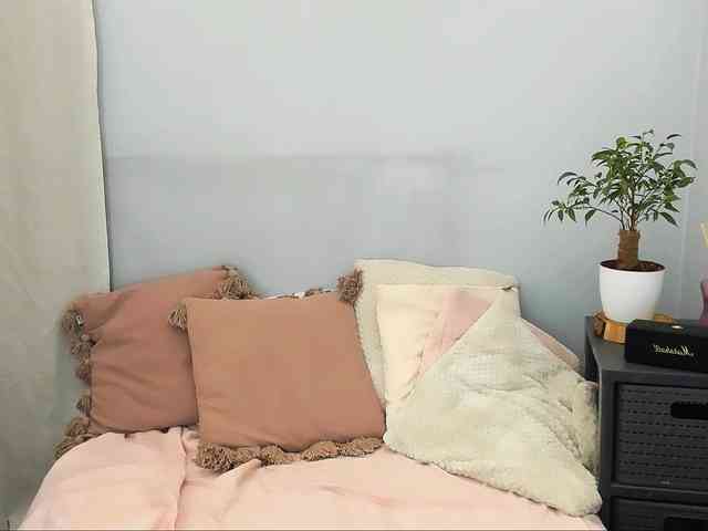 LilyGold webcam